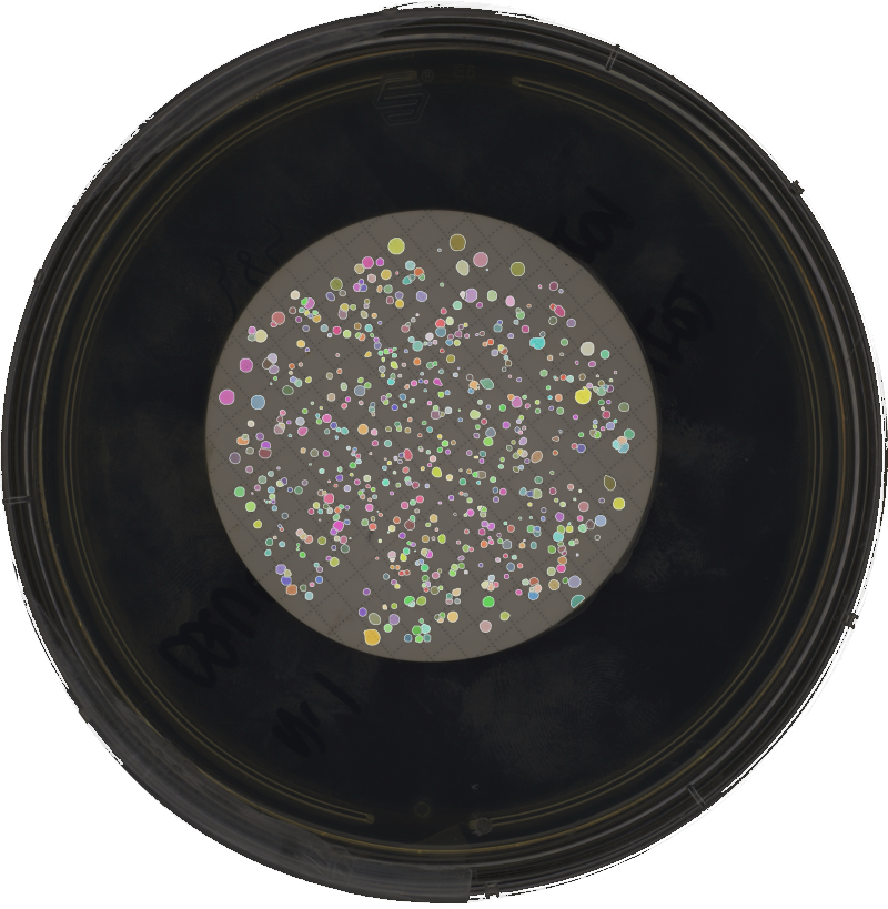 AI-labeled membrane filtration plate for pharmaceutical quality control